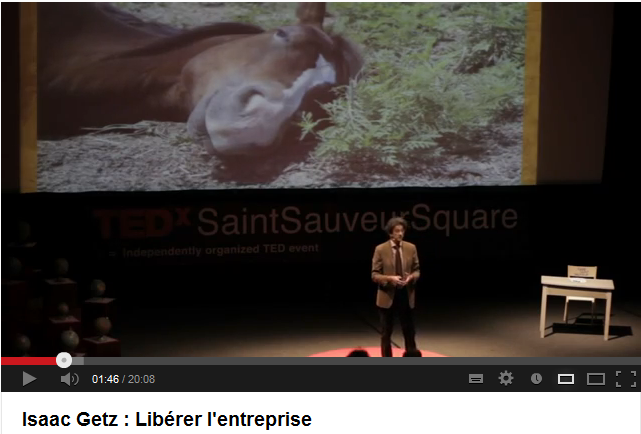 TEDx talk « Libérer l’entreprise » à Lille